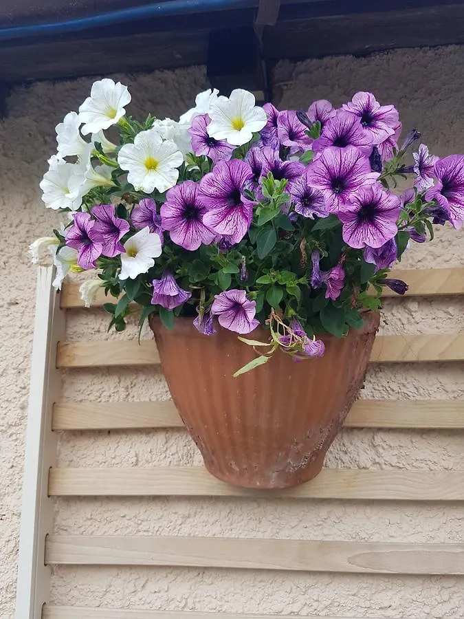 Bed & Breakfast B&B Ethnohotel Rosa Dei Venti Imperia Italy